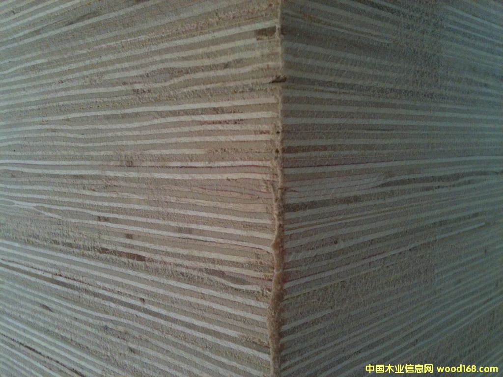 樺木膠合板 樺木膠合板