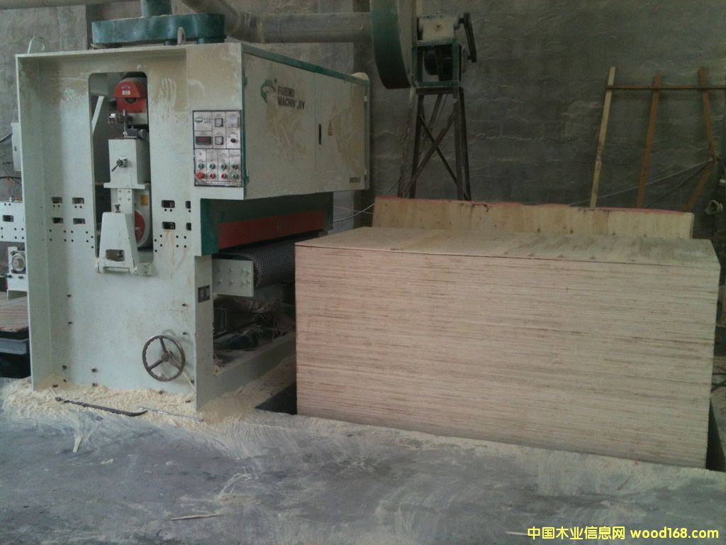 樺木膠合板 樺木膠合板