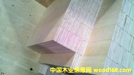 ɳ�����������ϣ�������ֱ�y����Ԕ����B