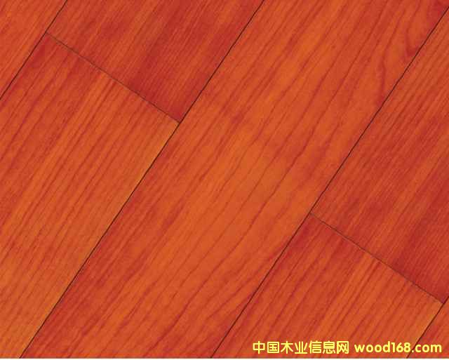 �����t����