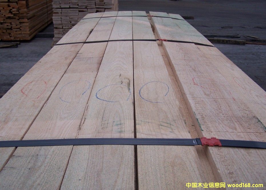 美國白蠟?zāi)? title=