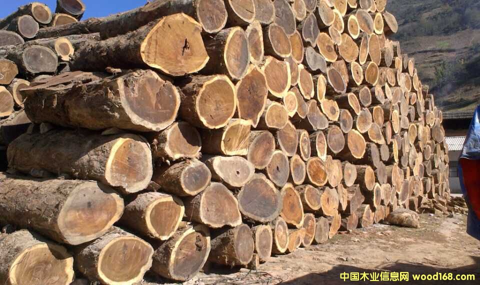 �S���ԭľ�����_(t��i)�������