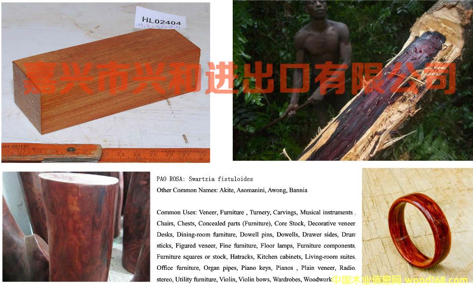 ���d���d���M�������޹�˾