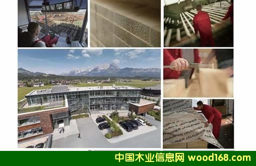 �P��ľ�I(y��)���F(tu��n)