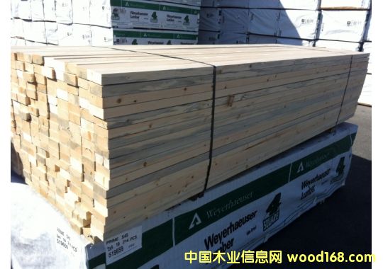 SPF����ɼ-��-�FɼPrime�ȼ�(j��)