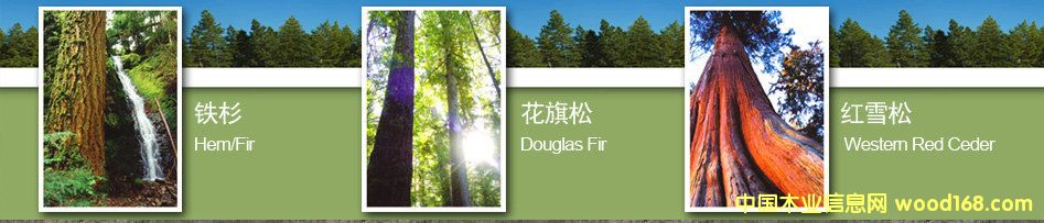 ���ô��Fɼ����-�Ϻ���ľ���I(y��)