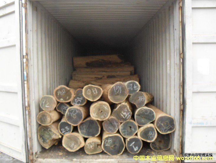 ����͢,������G̴ԭľ�M��