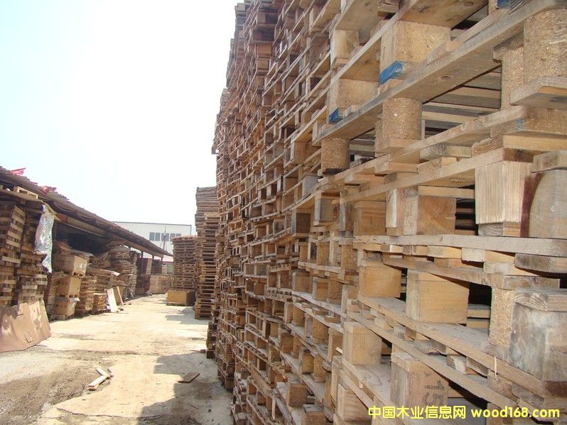 ����ľ�|(zh��)�бP(p��n)