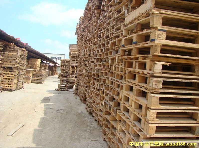 ����ľ�|(zh��)�бP