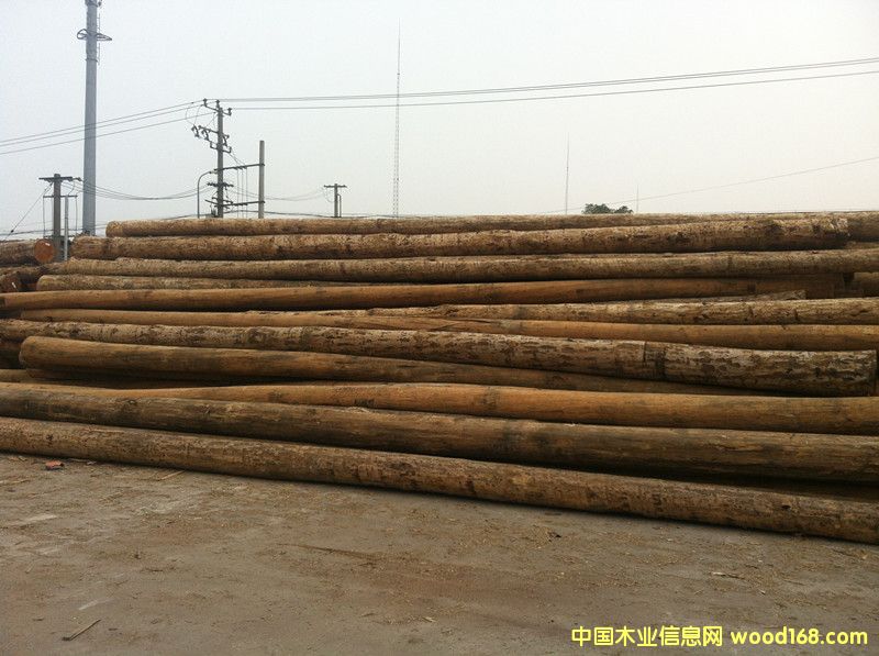 �����Ϸ���ԭľ��Ԕ����B