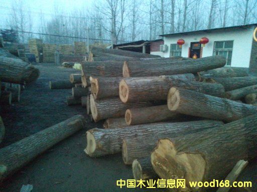 [��] ��������(y��ng)���ϰח�ľ��ɰ��