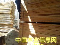 �ח�ľ��ĵ�Ԕ����B