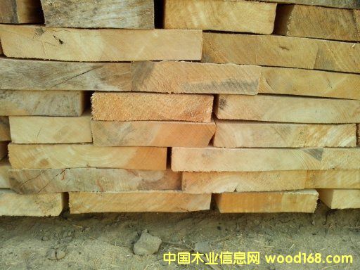 [��] ��������(y��ng)���ϰח�ľ��ɰ��