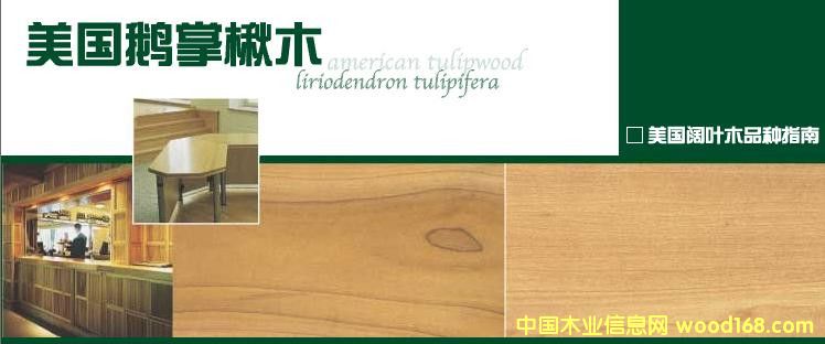 [��] �t��ľ������ľ����Ϟ?z��i)�������ľ���S��ľ