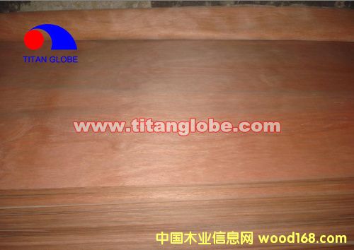 MLH Veneer - Titan Globe��Ԕ����B