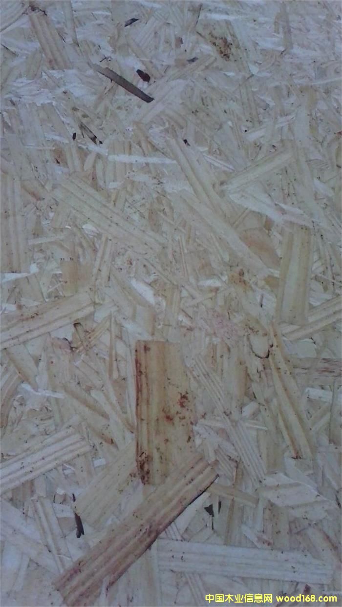 [��] �M(j��n)�ښW�ɰ�