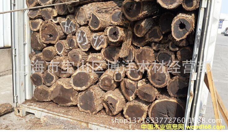 ����ľ��Ԕ��(x��)��B