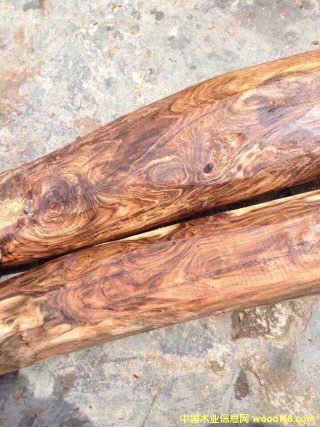 Խ���S�����Ԕ��(x��)��B