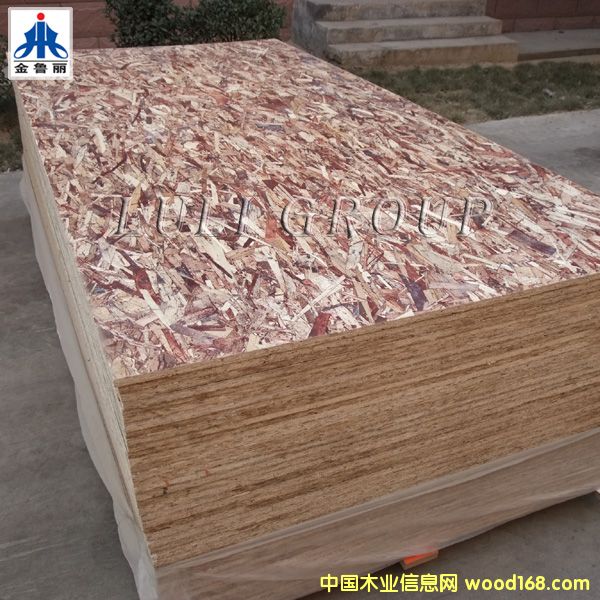 �����ٻ������W�ɰ�