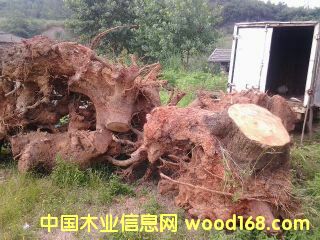 ����ľ�䶵��Ԕ��(x��)��B