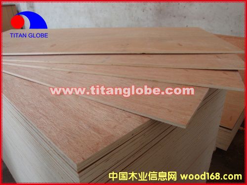 Bingtangor Plywood-Titan Globe��Ԕ����B