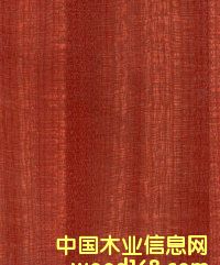 ���B(t��i)���Ԕ����B