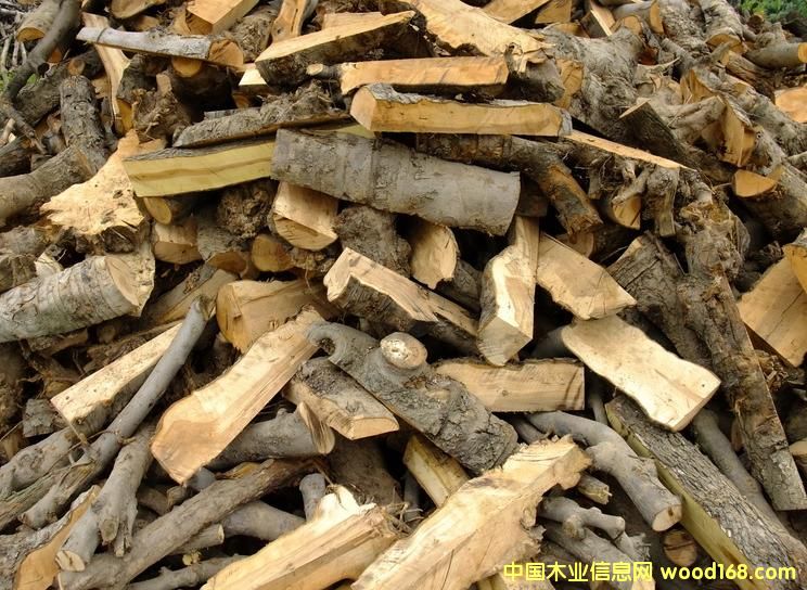 ����O��ľ���_ľ���Ԕ��(x��)��B