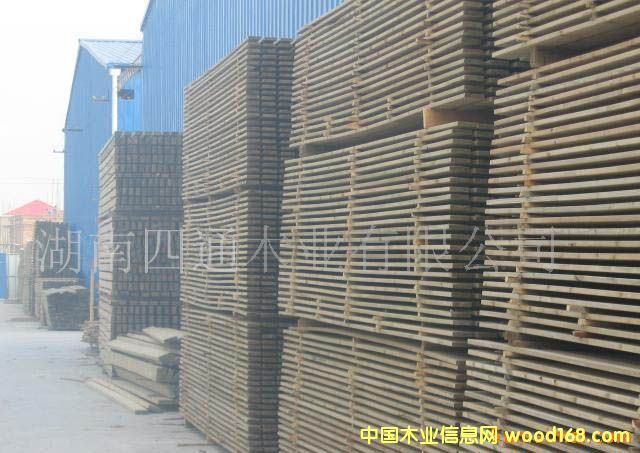 �����ɷ���ľ��Ԕ��(x��)��B