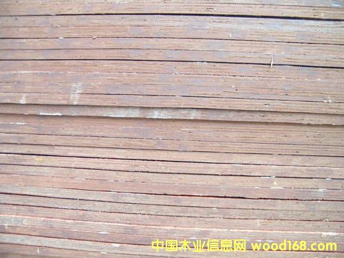 ���������z��-ȫ��ľ���L(zh��ng)ɳ��ͨľ�I(y��)���l(f��)��Ԕ��(x��)��B