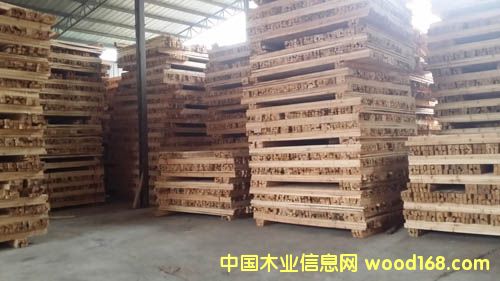 ����ѩ�ɡ����M(j��n)��ľ��ľ�����W�������L(zh��ng)ɳ����ѩ���N(xi��o)�۵�Ԕ��(x��)��B