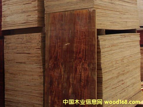 ��ͨ�����z��-ȫ��ľ��Ԕ��(x��)��B