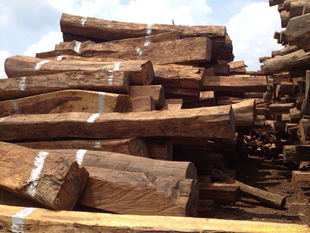 �c���鿴�S����Ŵ�DƬ