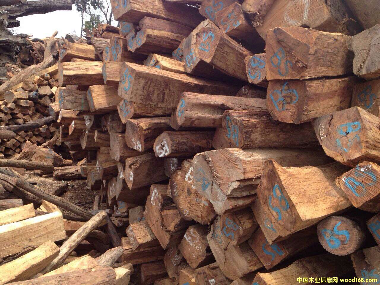 �c���鿴�S����3�Ŵ�DƬ