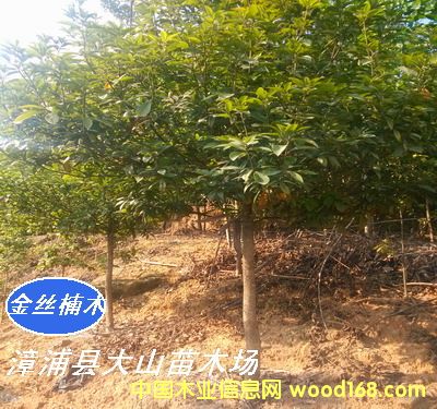 [��] ���ľN�磨�}����E���С�~骡�������ٻ�骡��t骣�