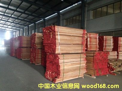 櫸木的詳細(xì)介紹