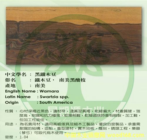 ����-����֦��Ԕ��(x��)��B