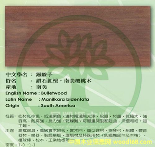 ����-�t̴��Ԕ��(x��)��B