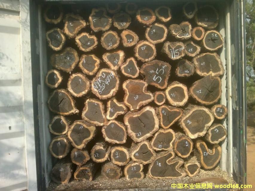 �Ϲ�̴����ľ��Ԕ��(x��)��B