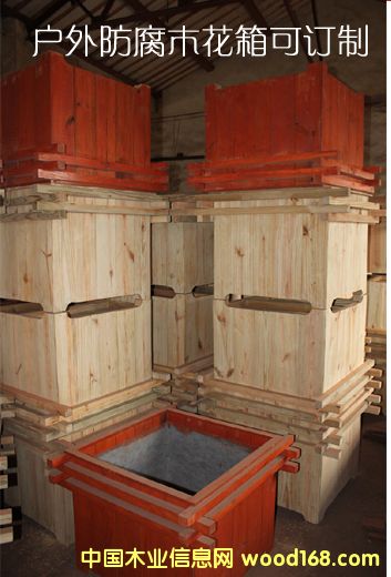 �ṩС�^(q��)�V��(ch��ng)·߅���^��ľ�|(zh��)�G���Nֲ����(sh��)ľ�������� �K�ݼӹ���Ԕ��(x��)��B