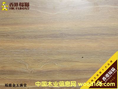 ��۸�؈����M�õ�Ԕ��(x��)��B