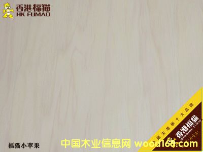 ��۸�؈С�O(p��ng)��2��Ԕ��(x��)��B