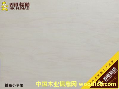 ��۸�؈С�O(p��ng)����Ԕ��(x��)��B