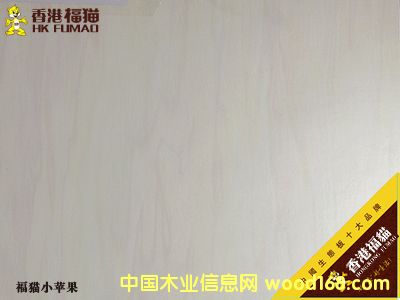 ��۸�؈С�O(p��ng)��3��Ԕ��(x��)��B