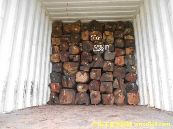 �������Ԕ��(x��)��B