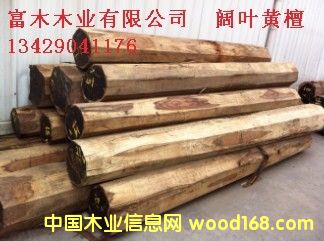 ��~�S̴��Ԕ��(x��)��B