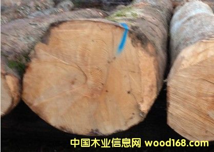 �����mӲ����Ԕ����B