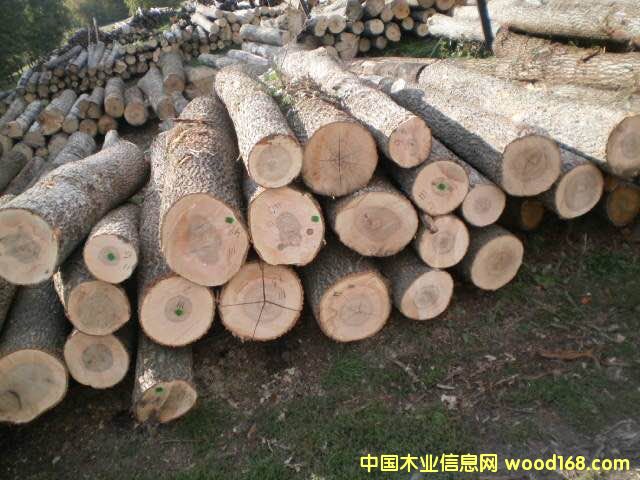 ˮ����ԭľ��Ԕ����B