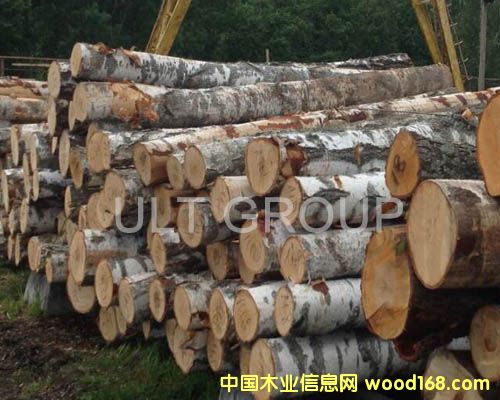 �����m��ľ��Ԕ����B