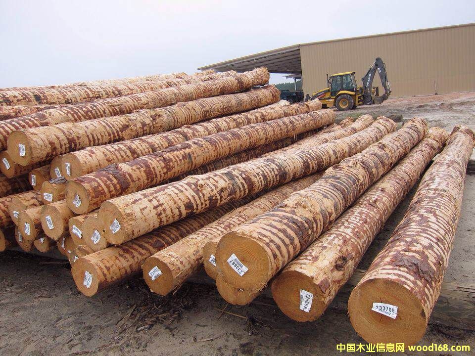 �Ϸ���ԭľ��Ԕ����B