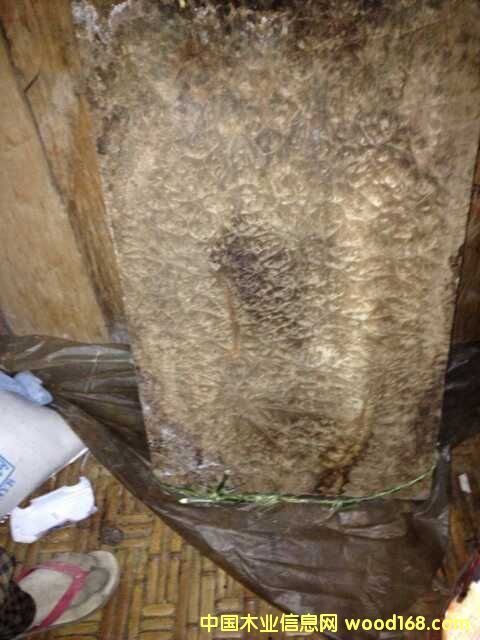 �S�������Ԕ��(x��)��B